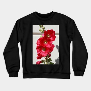 Hollyhock, hollyhock, hollyhock, flower, blossom, red Crewneck Sweatshirt